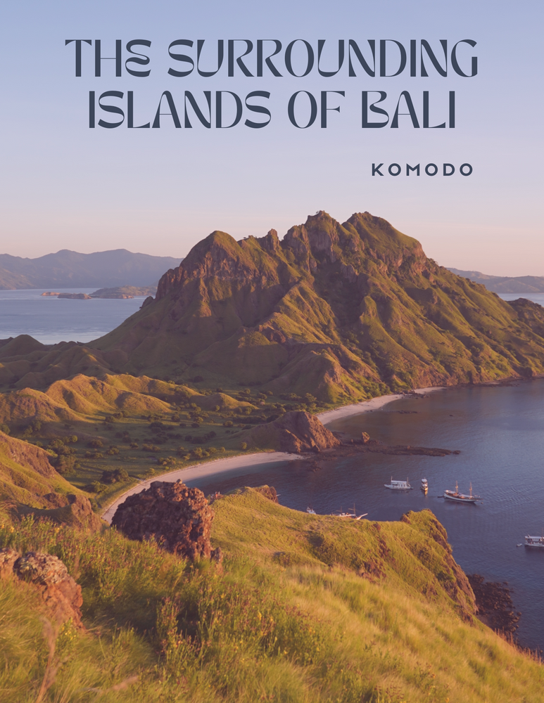 Komodo - The Surrounding Islands of Bali - Guide NEDERLANDS / DUTCH