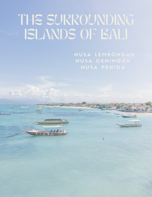 
                  
                    Laad afbeelding in Gallery viewer, Nusa Islands - The Surrounding Islands of Bali - Guide NEDERLANDS / DUTCH
                  
                