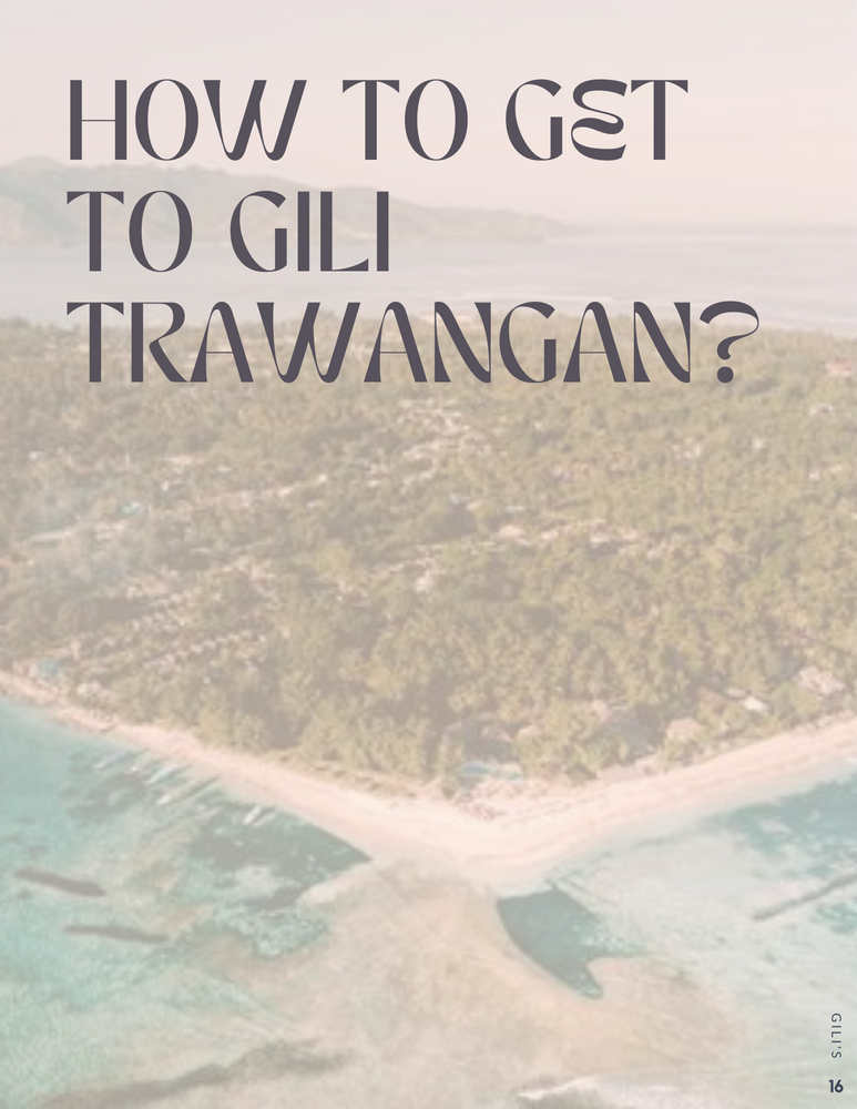 
                  
                    Load image into Gallery viewer, Gili Islands - The Surrounding of Bali - Guide ENGLISH
                  
                