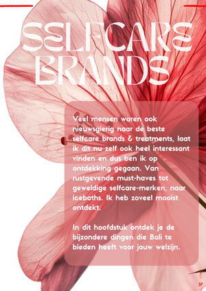 
                  
                    Load image into Gallery viewer, BALI - Shopping &amp;amp; Wellness guide - NEDERLANDS/DUTCH
                  
                
