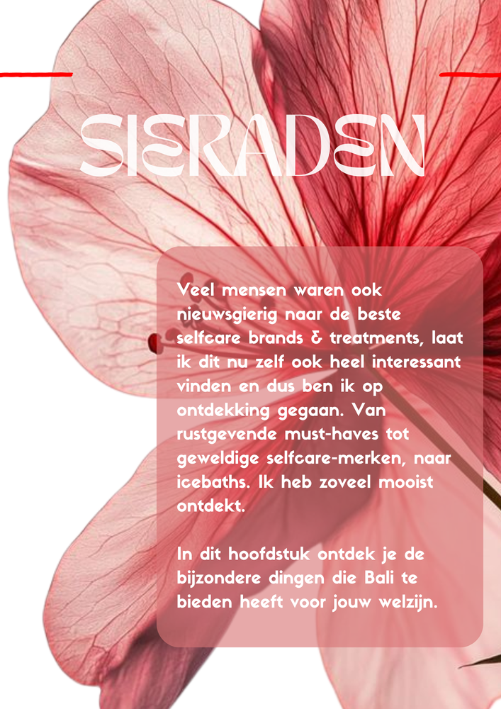 
                  
                    Load image into Gallery viewer, BALI - Shopping &amp;amp; Wellness guide - NEDERLANDS/DUTCH
                  
                