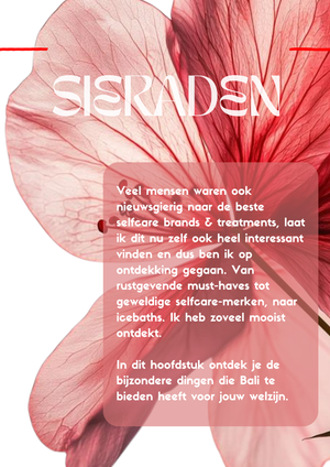
                  
                    Load image into Gallery viewer, BALI - Shopping &amp;amp; Wellness guide - NEDERLANDS/DUTCH
                  
                