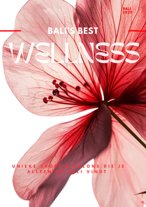 
                  
                    Load image into Gallery viewer, BALI - Shopping &amp;amp; Wellness guide - NEDERLANDS/DUTCH
                  
                