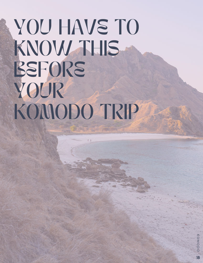 
                  
                    Load image into Gallery viewer, Komodo - The Surrounding Islands of Bali - Guide ENGLISH
                  
                