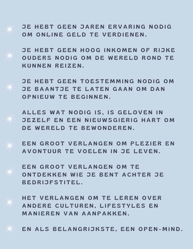
                  
                    Load image into Gallery viewer, De Digital Nomad Guide - Nederlands/Dutch
                  
                